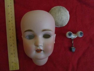 Lg.  Antique Kestner Bisque Doll Head Marked 168