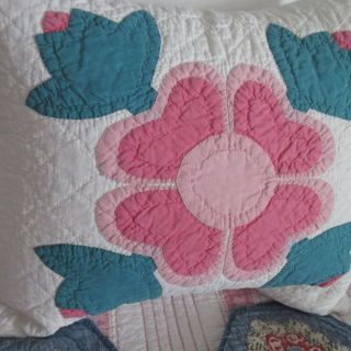 Charming Vintage Cottage Pink Rose Applique Quilt Pillow Sham 14 1/2 " (3)