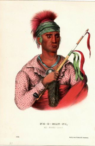 Indians Native Americans Art Print Hand Colored Portrait 1865 Ioway Chief Great