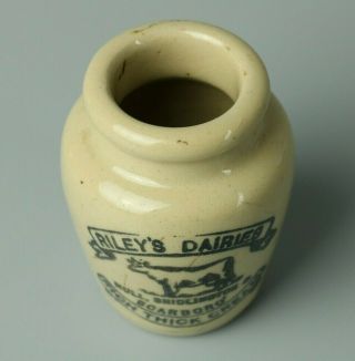Riley ' s Dairies Stoneware Cream Pot,  Hull Scarborough,  Antique,  Yorkshire 2
