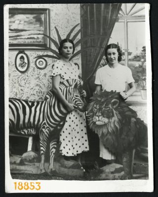 Pretty Girls W Animals,  Strange Background,  Funny,  Rare,  Vintage Photograph 1920