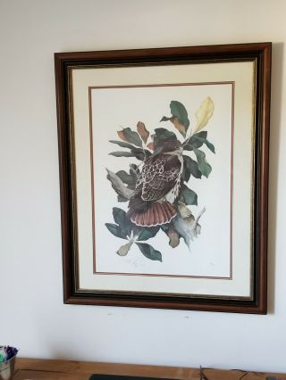 C Ford Riley Signed Rare Limited Edition Hawk Painting Print 89/250 From 1985