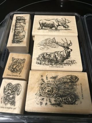 Stampin Up Yukon Animals Wood Mounted Stamps Collectible Rare Set 2002 Vintage