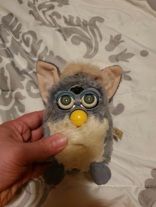 Vtg Furby Blue With Pink Hair 70 - 800 1998 Rare Color Tiger Electronic