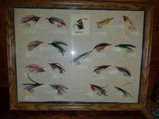 Vintage Fly Fishing Lures In Wood Shadow Box Framed Trout,  Bass,  Pearch