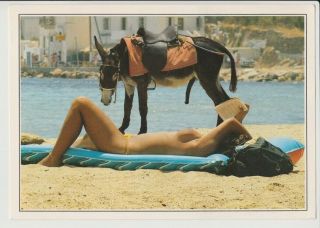 Postcard Pinup Nude Beach Girl Greece Very Rare Vintage Photo Post Card 11758