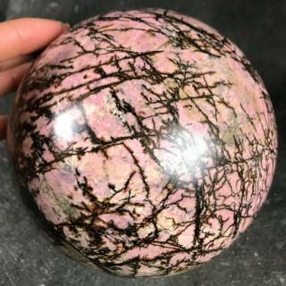 9.  56lb Gem Rhodonite Sphere Rare Red Gemstone Crystal Ball Brazil - 4810