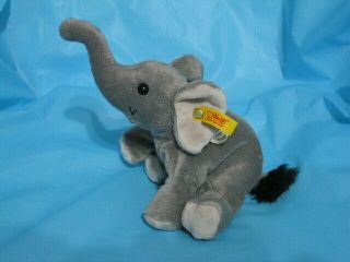 Steiff Trampili Elephant With All Tags