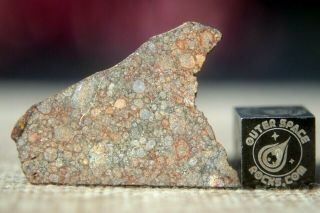 Nwa 10699 Ll (l) 3 Primitive Chondrite Meteorite 3g Part Slice Of Rare Type