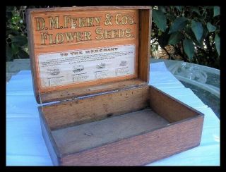 1930s D.  M.  Ferry & Co.  Flower Seed Wooden Counter Display Box