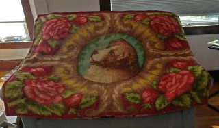Early Horse Hair Buggy Carriage Blanket Amish Dog Glass Eyes Red Flowers Stroock