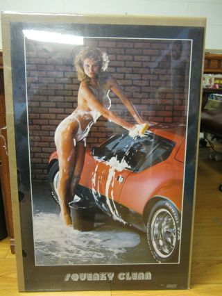 Skeaky Vintage Poster Pantera 1984