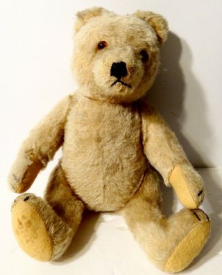 Antique Steiff Growler Teddy Bear 12 "