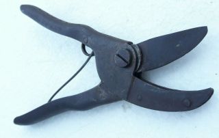 Famos Pruning Vineyard Scissors Vintage Spring Shears Pliers Rare Tools Rustic