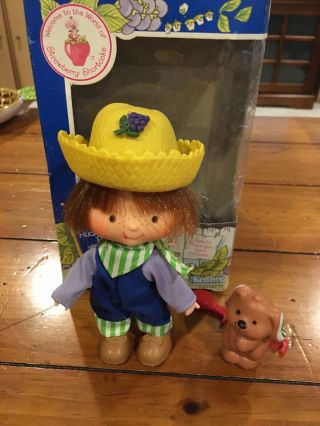 Vintage Strawberry Shortcake Huckleberry Pie With Pup Cake Pet Box