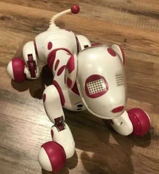 Rare Zoomer Zoomie Pink Dog Dalmatian Girls Electronic Pet Puppy Robot Toy Gift
