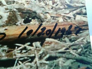 BOB GIMLIN Authentic Hand Signed Autograph 4X6 Photo - BIGFOOT 10/20/1967 - RARE 3