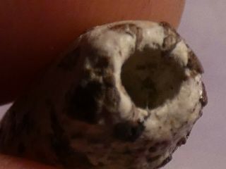 Ancient Asia Minor 3500 Year Old Tube Bead 21 By 9.  2 Mm Not A Gneiss Bead Rare