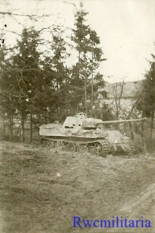 RARE US View KO ' d German Pzkw.  V PANTHER Panzer Tank by BITBURG; 1945 (2) 2