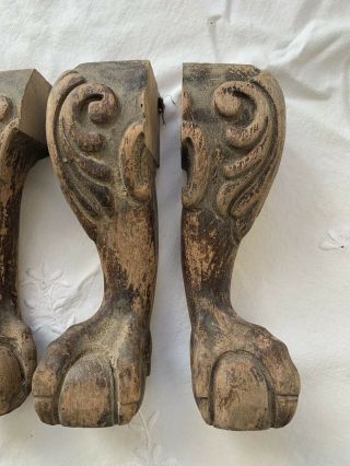 4 Wood CLAW foot FEET Legs SALVAGE parts ARCHITECTURAL FORM 3
