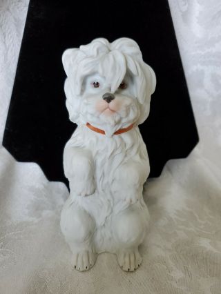 Rare Vintage Gebruder Heubach White Dog Begging Porcelain Bisque Figurine