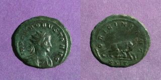 M3122 Probus AE Antoninianus.  Siscia,  280 AD.  22mm 3.  6g Rare 2