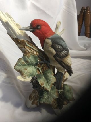 Rare Red Headed Woodpecker Porcelain Bird Figurine Andrea By Sadek Made In Japan