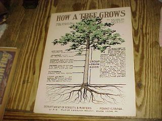 Rare 1930s Wpa Lithograph Poster - Pennsylvania Forest & Waters