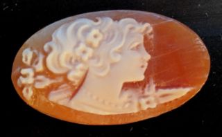 Nos Antique Hand Carved Oval Shell Cameo Woman Facing Right (1 Of 2) Yy601