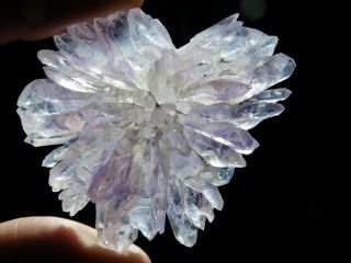 A Small Very Rare Amethyst Crystal Flower Cluster From Brazil 32.  6gr E