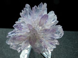 A Small Very Rare AMETHYST Crystal FLOWER Cluster From Brazil 32.  6gr e 3