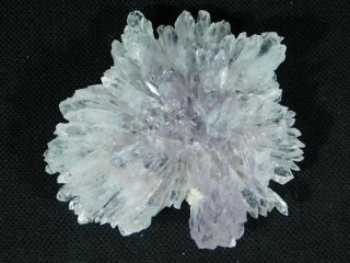 A Small Very Rare AMETHYST Crystal FLOWER Cluster From Brazil 54.  3gr e 2