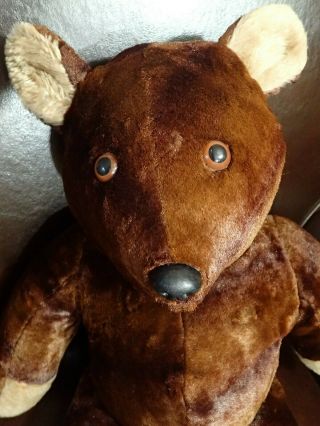 Antique Old Vintage Large Brown Chubby Teddy Bear 24 " Tall Sad Eyes