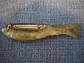 Fish art pin,  REAL MINNOW in plastic,  signed K.  Loeber in 1981,  perfect,  gift 2