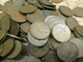 169 Antique Vintage Copper Canadian Pennies 1939 - 1070 ' s Elizabeth & Georgivs vi 2