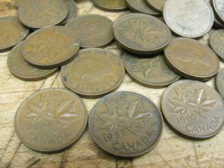 169 Antique Vintage Copper Canadian Pennies 1939 - 1070 ' s Elizabeth & Georgivs vi 3