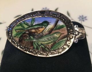 Gorgeous Rare Antique Sterling Silver Hand Painted Bird Brooch