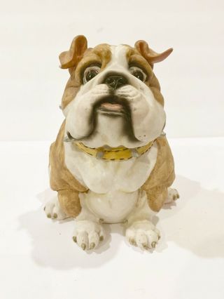 Vintage Bulldog Piggy Bank Rare Cute Spike Collar Rare Realistic