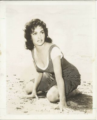 Gina Lollobrigida Vintage 10x8 Rare Photo Sexy On Beach