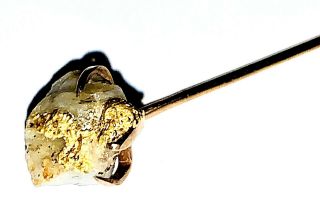 Antique Rare Cowboy - Gold In Quartz Specimen Rock 10k Stick Pin