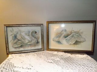 Vintage Mad Stage Framed Colored Swan And Goose Lithographs (set Of 2)