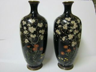 Pair Antique Japanese Meiji Period Cloisonne Vases A/f
