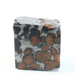 50g Rare slices of Kenyan Pallasite olive Hexagonal meteorite A4297 2