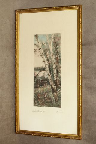 Antique Hand Tinted Photograph Signed Lamson Titled Lake Birches Circa 1900