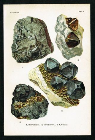 1911 Sulphides: Molybdenite,  Galena,  Rocks,  Geology,  Minerals - Antique Print