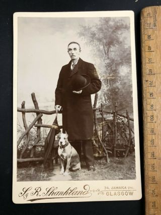 T Antique Victorian 1800s Shankland Glasgow Terrier Dog B&w Photo Cabinet Card