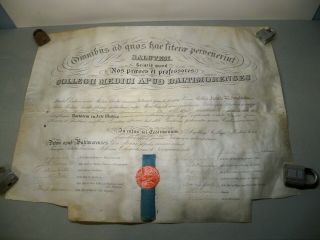 1896 Medical College Of Baltimore Large Doctor Degree/diploma/certificate Latin