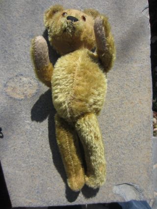 Antique Steiff Mohair 16 " Teddy Bear W/o Button