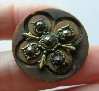 Fabulous Antique Vtg Carved Vegetable Ivory Button W/ Brass & Cut Steels (q)