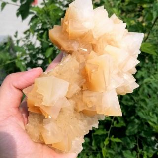 805g Natural Rare Calcite Quartz Cluster Crystal Specimen Reiki Healing Fca597